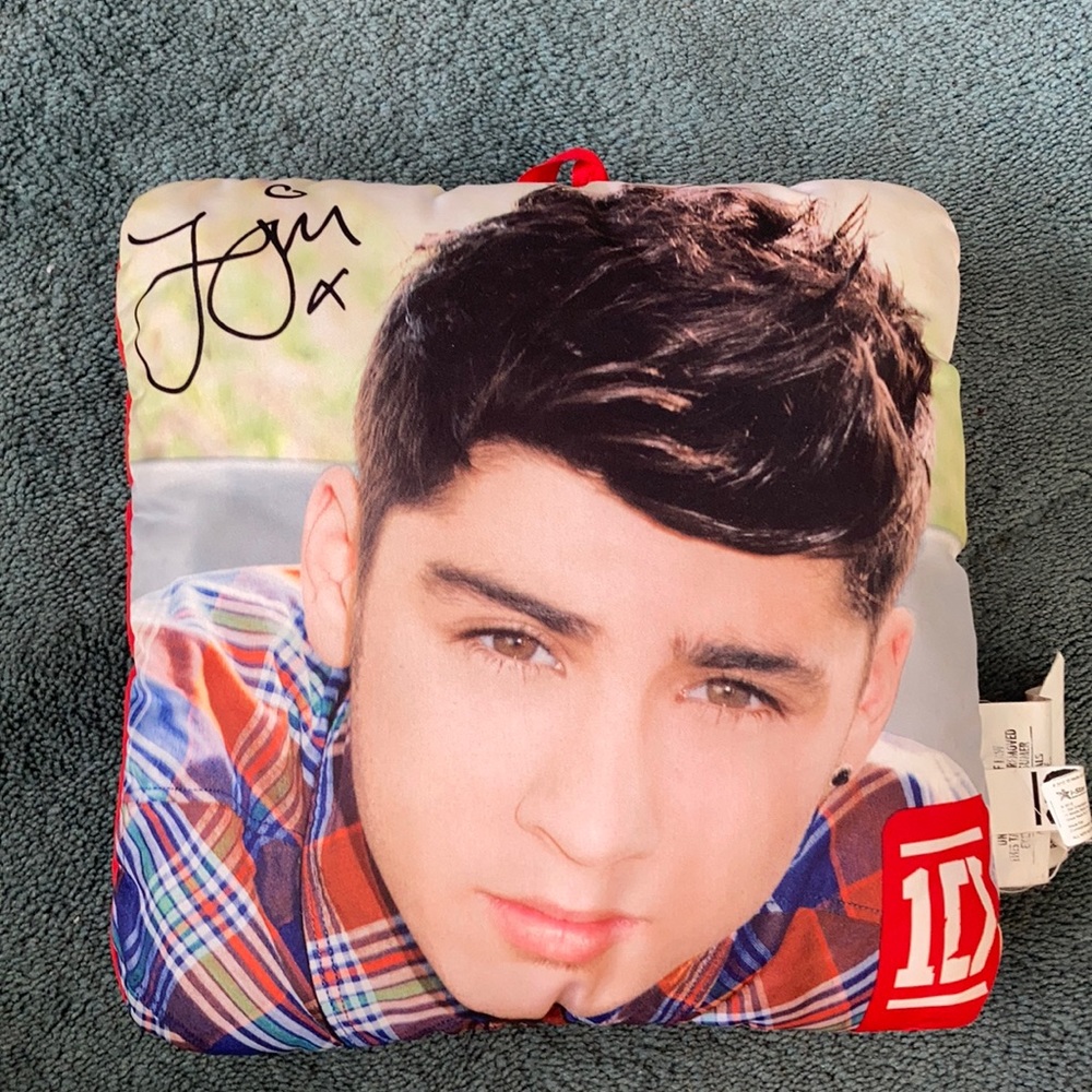 Zany Malik Mini Pillow